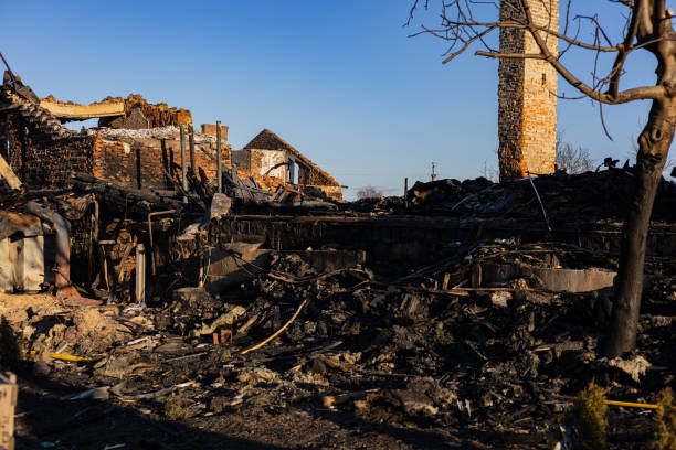 Reliable Content Restoration contractor in Seattle, WA by Fire Damage Laser Cleaning
